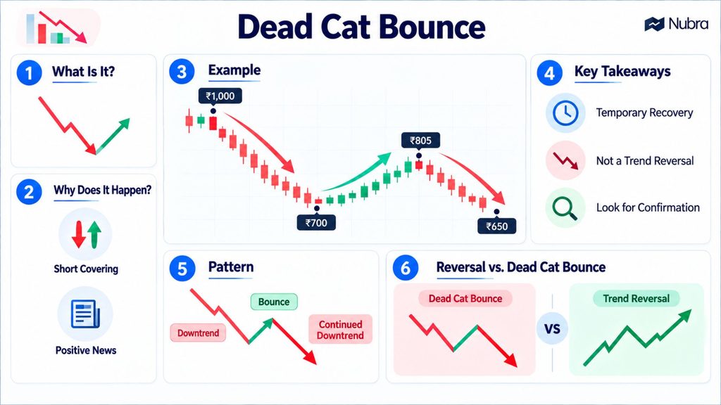Dead Cat Bounce